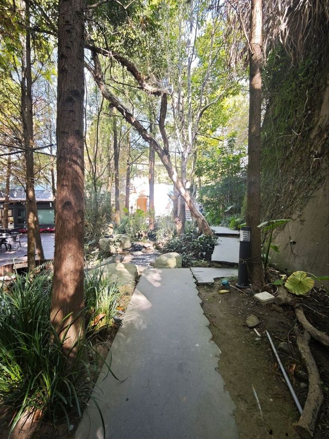 🌲落羽松秘境中的蔬食饗宴#🌿 澄石享自在-臺中市北屯區