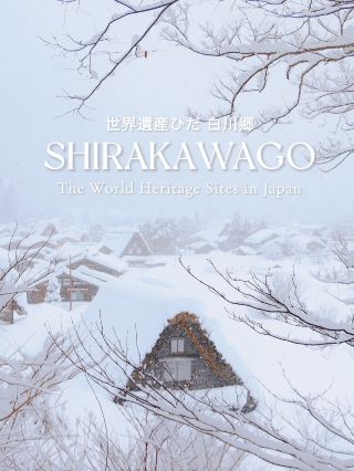 蓬鬆的白雪和世界遺產村莊“白川鄉”