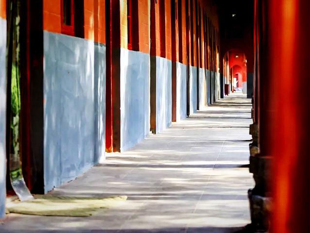 越南🇻🇳白馬寺 越南🇻🇳白馬寺