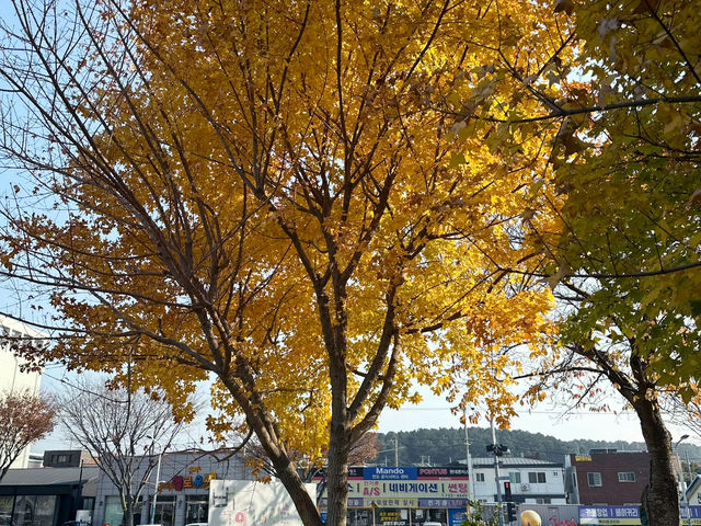 아직은 가을여행 중 😁🍁