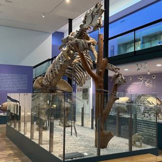 瓦倫西亞自然科學博物館 – 探索生命與地球的奇蹟