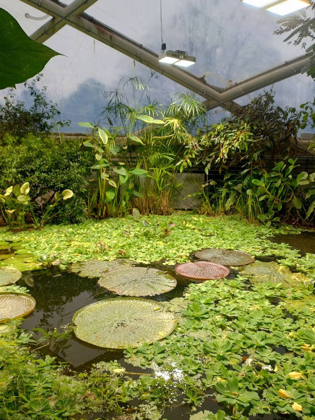 🌿 A Calm, Green Escape at Botanisk Have 🌿 A Calm, Green Escape at Botanisk Have