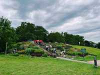 Sam Lawrence Park in Hamilton