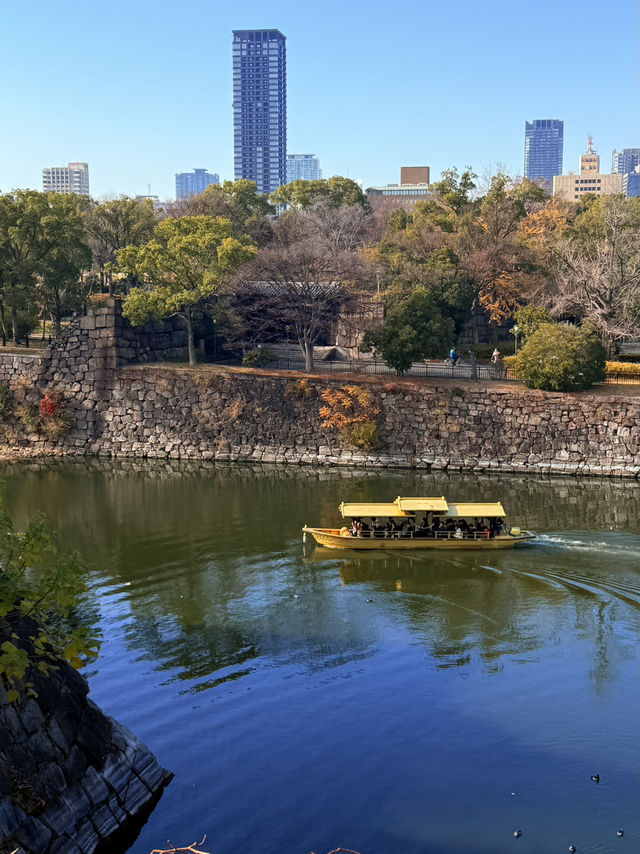 大阪｜連兩年造訪大阪城 看秋日銀杏與楓紅的別樣美感