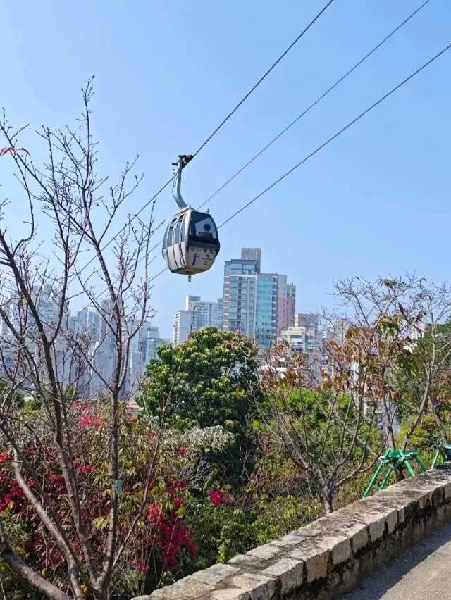 Guia Hill Escape🌳 | Macau hidden gem ✨ Have a walk where the locals relax and enjoy nature vibes