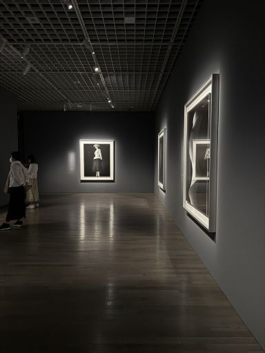 Hiroshi Sugimoto: Extinct Photography. | Trip.com Tokyo