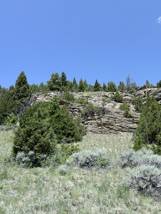 🦬 Yellowstone National Park Guide | The World's First National Park! Geothermal Wonders, Wildlife, and the Stunning Grand Canyon All in One Go ✨