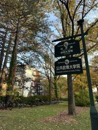 北海道大學：「北大金葉季」被銀杏樹包圍的療癒散策日記📓