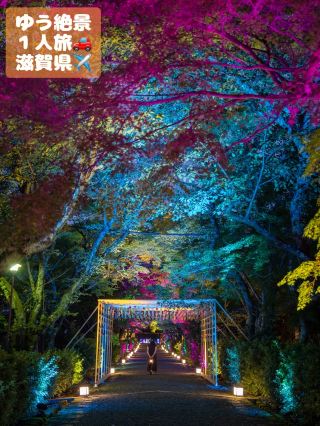 《滋賀県大津市》極楽をイメージしたライトアップが今年はパワーアップしてかえってきました(風鈴が飾られています)
参道までは無料で入ることが出来ます😊
.
.
.
西教寺は明智光秀が復興に尽力したお寺になります
今年はライトアップと共に4000個の風鈴が境内に飾られています
雲海を催した手水の龍も見どころのひとつになっています
.
.
.
客殿では、毎年違った色んな飾り付けがされていますので必見です😊
.
.
.
注意することは21:30を超えたらライトアップが一斉に消えますので足元には注意してくださいね
この日は21:28に消えました🙄
· ------❁� -------❁� ☾ ❁�------- ❁�-------
⁡
スポット.西教寺(さいきょうじ)
⁡
🌎〒520-0113 滋賀県大津市坂本5丁目13番1号
⁡
⏱19:00~21:30(拝観受付は21:00まで)
⁡
💰.600円
⁡
2026年7月25日(土)~9月6日(日)
期間中の月・火曜日は拝観停止
但し8月10日・11日は開催⁡
⁡
撮影日.2026.7/29.30
⁡
撮影時間.19:00~21:29
⁡
モデル.さかなさん
⁡
· ------❁� -------❁� ☾ ❁�------- ❁�-------
 #西教寺
 #西教寺ライトアップ 
 #shigatrip
 #shigatravel 


