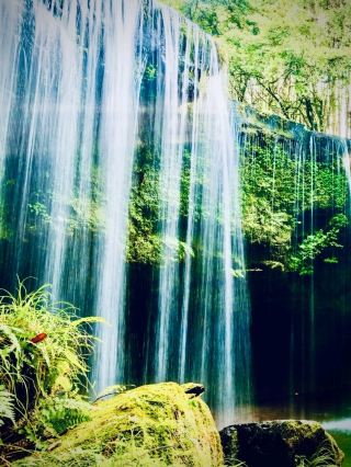 Peru Cusco Ausangate Upis Mossy Hot Spring Alpine Foresteasytravelpost #Ausangate #UpisHotSprings #