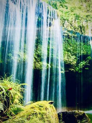 Peru Cusco Ausangate Upis Mossy Hot Spring Alpine Foresteasytravelpost #Ausangate #UpisHotSprings #