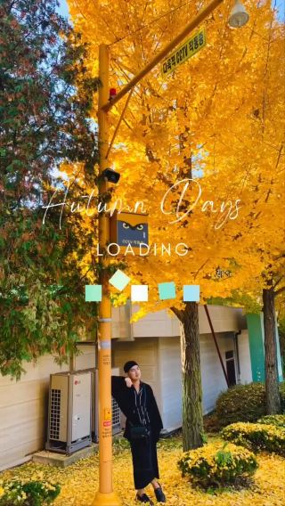 🍁 The Autumn Day Trip You Didn’t Know You Needed: Bucheon