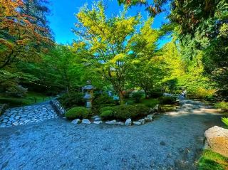 🍁 Autumn Serenity at Seattle Japanese Garden 🌿