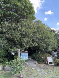 【熊本】阿蘇五岳を見渡せる絶景カフェ