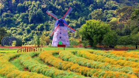 รีวิว Hokkaido Flower Park ท่องฮอกไกโดฟลาวเวอร์พาร์ค ชมสวนดอกไม้สไตล์ญี่ปุ่นสุดอลังการที่เขาใหญ่ 🌸 — traveler post in Beihai
