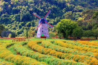 รีวิว Hokkaido Flower Park ท่องฮอกไกโดฟลาวเวอร์พาร์ค ชมสวนดอกไม้สไตล์ญี่ปุ่นสุดอลังการที่เขาใหญ่ 🌸