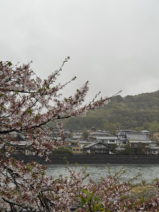 🍵🇯🇵 Uji Kyoto | The City of Matcha: A charming little town near Kyoto that green tea lovers shouldn't miss! 💚✨