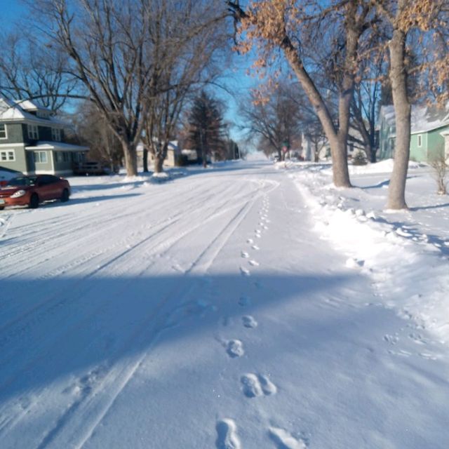 Beautiful Frozen South Dakota