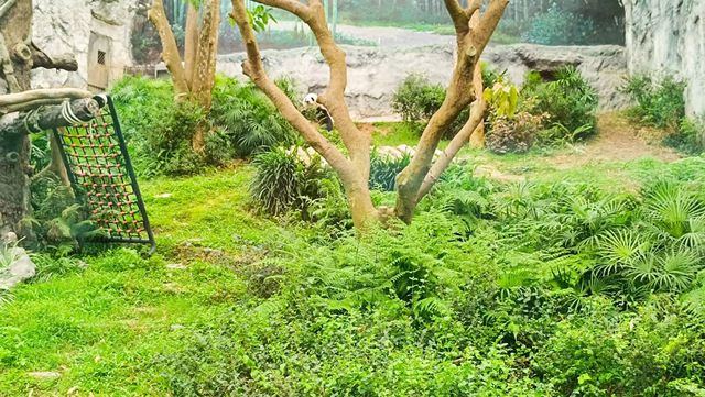 Macau: Magic of the East 