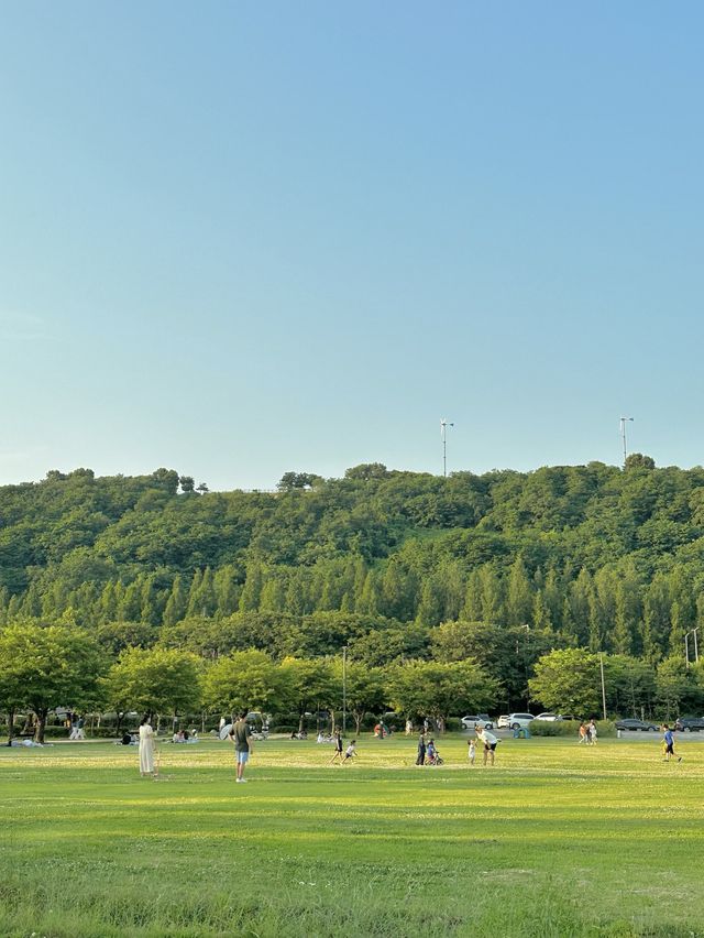 🍀서울, 나만 알고 싶은 피크닉 명소 난지한강공원