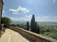  Discovering wine and food tour in Montalcino