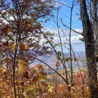 Sydney, Great Smoky Mountains and Norway!