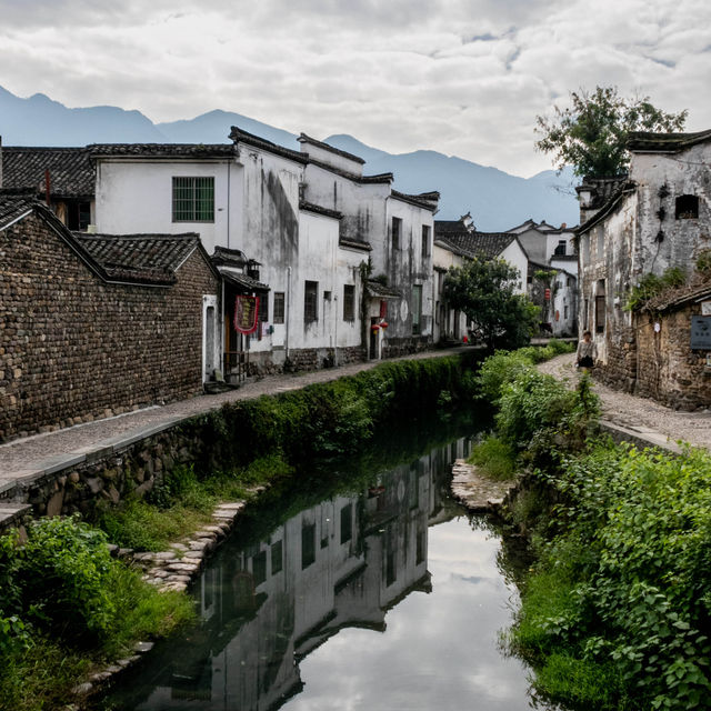 Lost in Longmen 