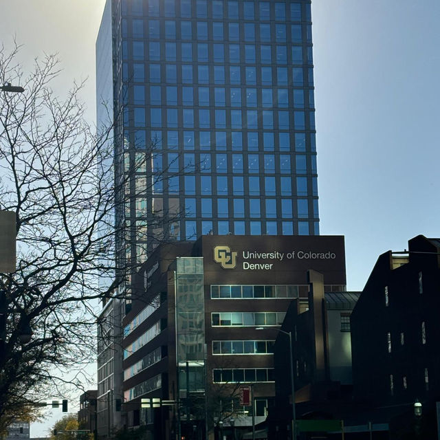 Window Shopping at Denver’s Downtown Window Shopping at Denver’s Downtown