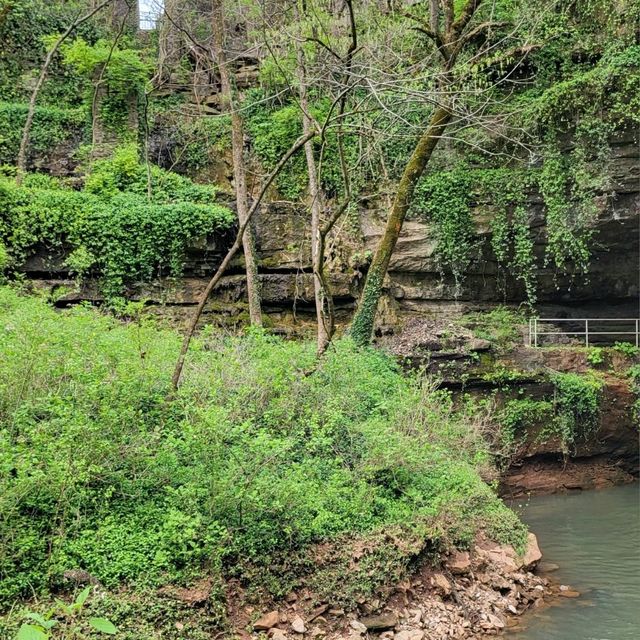 Experience one of the largest natural cave entrances in the Eastern U.S. 