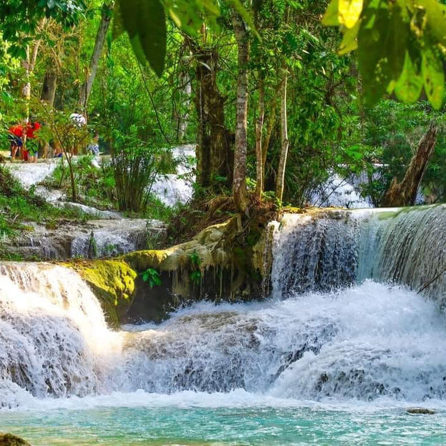🏔️ น้ำตกตาดกวาง" หลวงพระบาง “🏝️🏔️