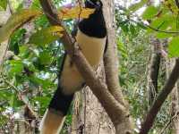 日帰りでブラジル🇧🇷Foz do Iguaçuからアルゼンチンのイグアスの滝を訪れる方法！