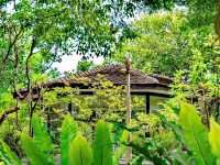 Amazing Saranrom Park