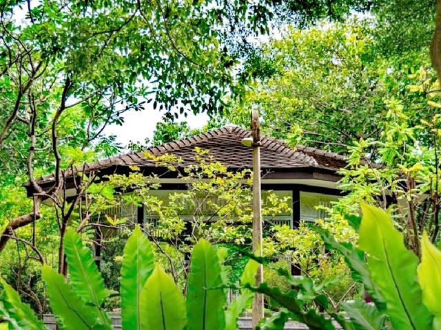 Amazing Saranrom Park