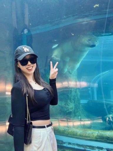 Polar Adventure Fun❄️