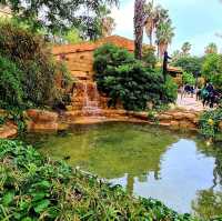 Portaventura pleasure