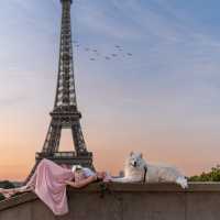 The best viewpoint to see the Eiffel Tower