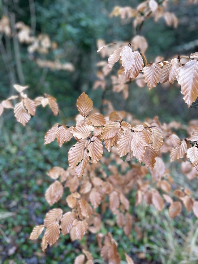 英國行山推介