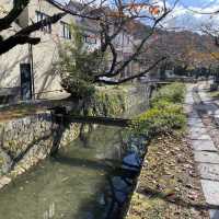 信步閒遊哲學之道