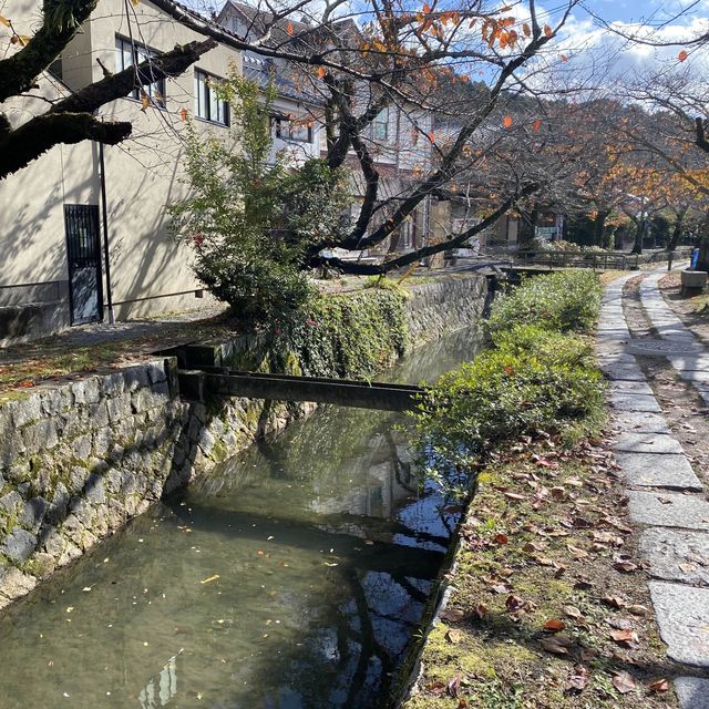 信步閒遊哲學之道