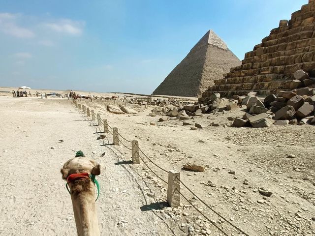 The Great Pyramids Cairo 🐪