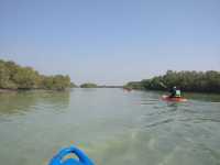 Abu Dhabi Mangroves 😍