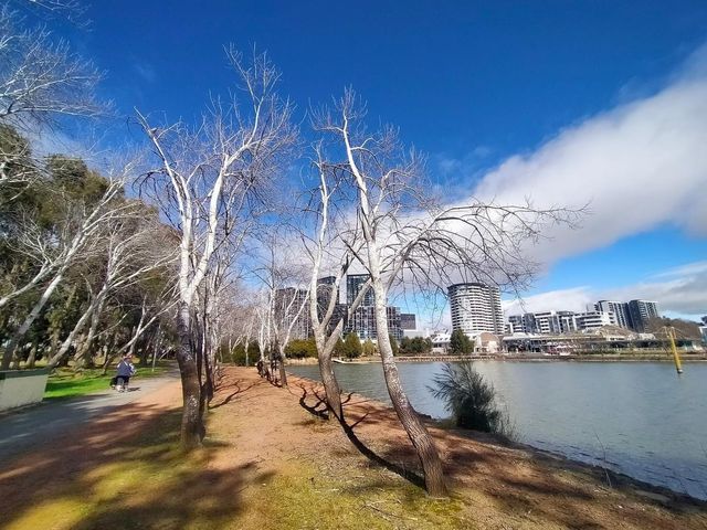 Nice visit: John Knight Memorial Park 🇦🇺