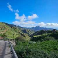 Anaga Rural Park walk. Tenerife.