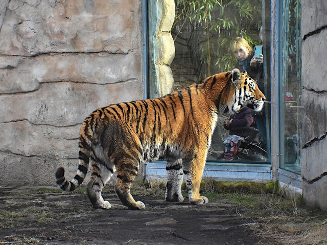 Zoo Hluboká 🦒🦏