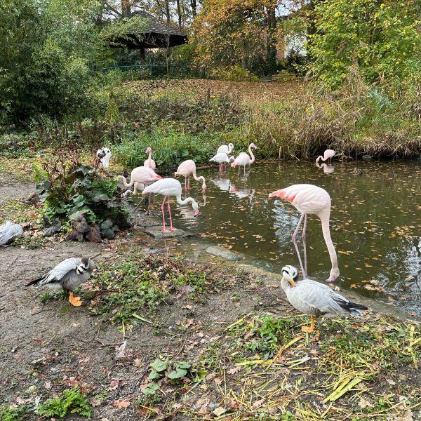 Bayreuth Small Zoo