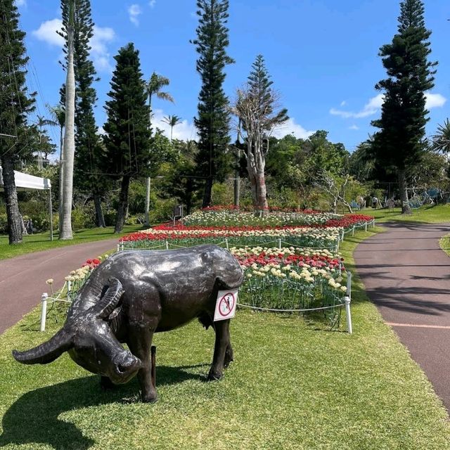 🐤東南植物樂園🦫日本最大的戶外植物園之一🌺