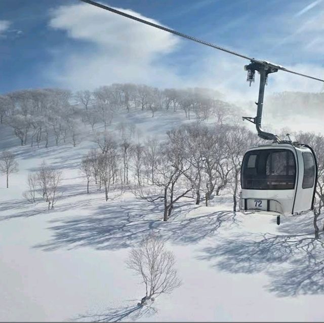 ❄️新雪谷格蘭比羅夫滑雪場❄️新雪谷最大的滑雪場