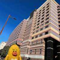 🌸福岡君悅酒店Grand Hyatt Fukuoka🌸與運河城相連，下雨天也不怕悶