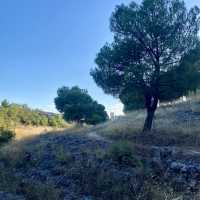 Exploring the Forest Above Alameda del Parral in Segovia 🌲