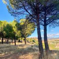 Exploring the Forest Above Alameda del Parral in Segovia 🌲